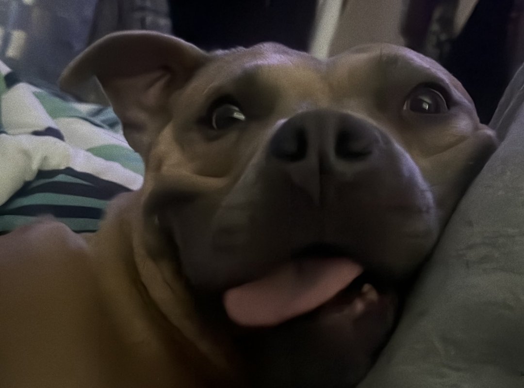 Jewel, Queen of derp! ❤️ 🤪