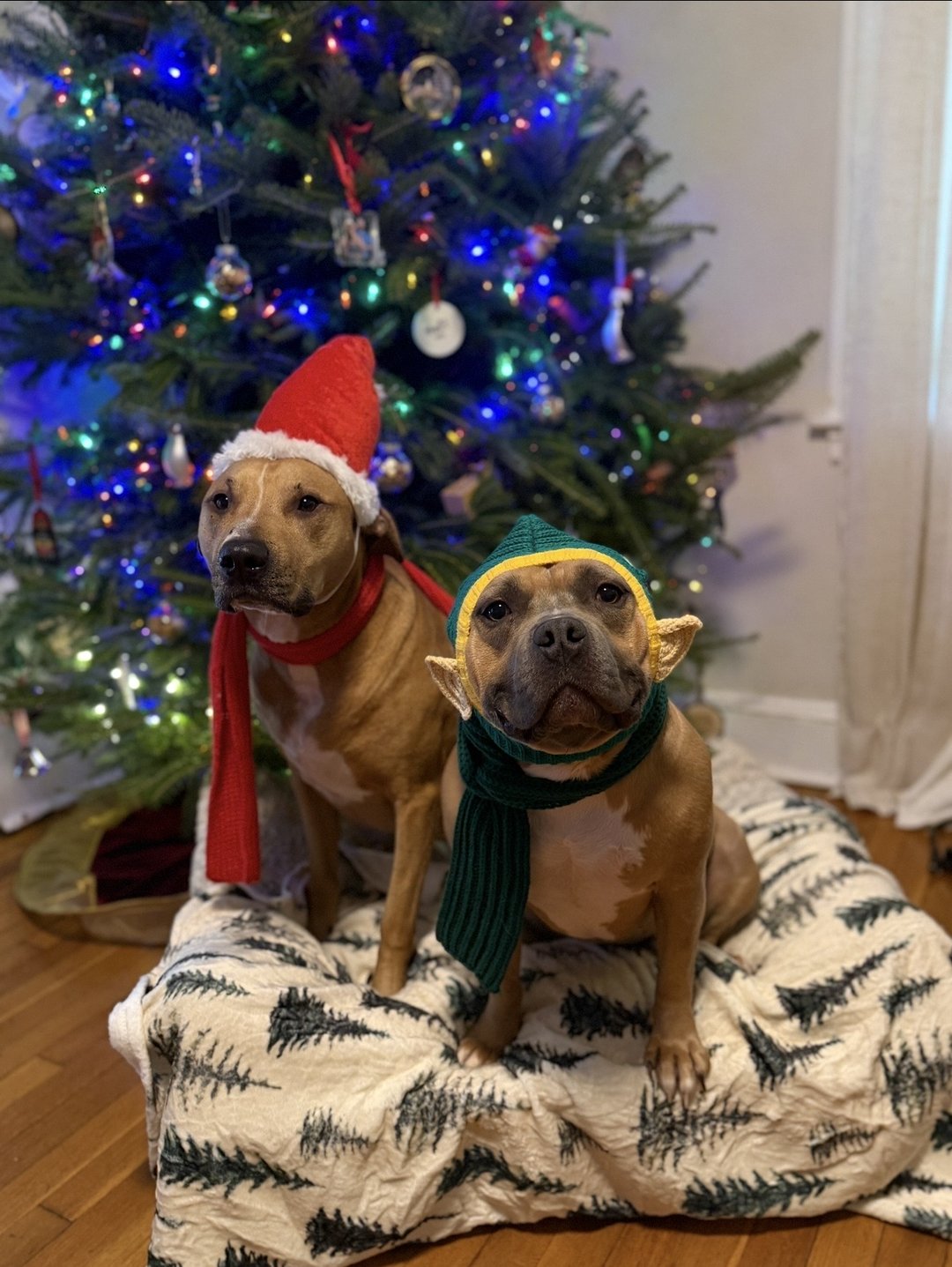 Second Christmas with Santa’s helpers! 🧝 🎄 🎅