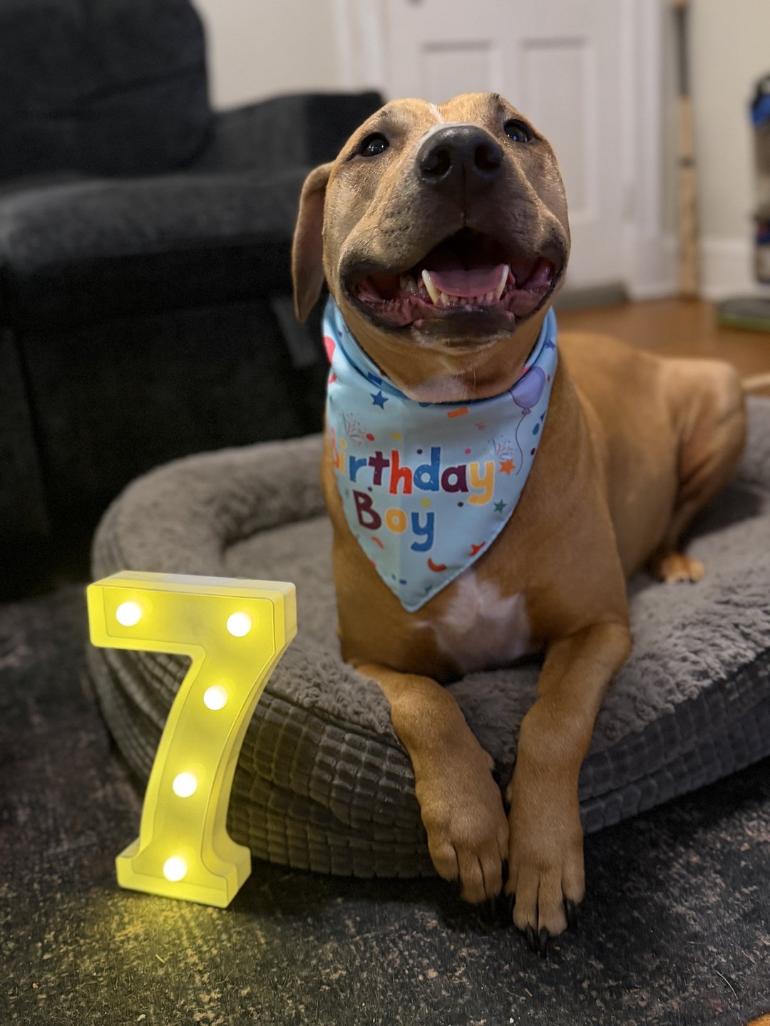 ✨7️⃣✨